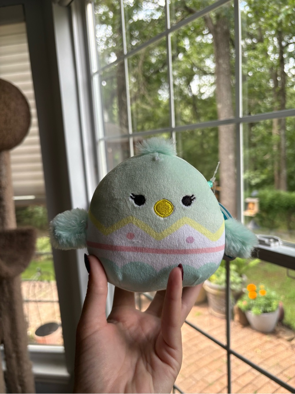 OG 2021 Justine the green bird in an egg squishmallow NWT 5in